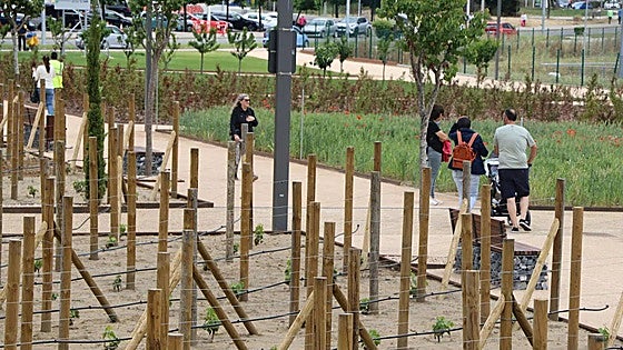 El Parque de las Tierras Leonesas suma 2.600 metros cuadrados más de jardín