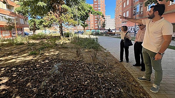 El PP denuncia el «mal estado» del corredor verde de Jovellanos en León