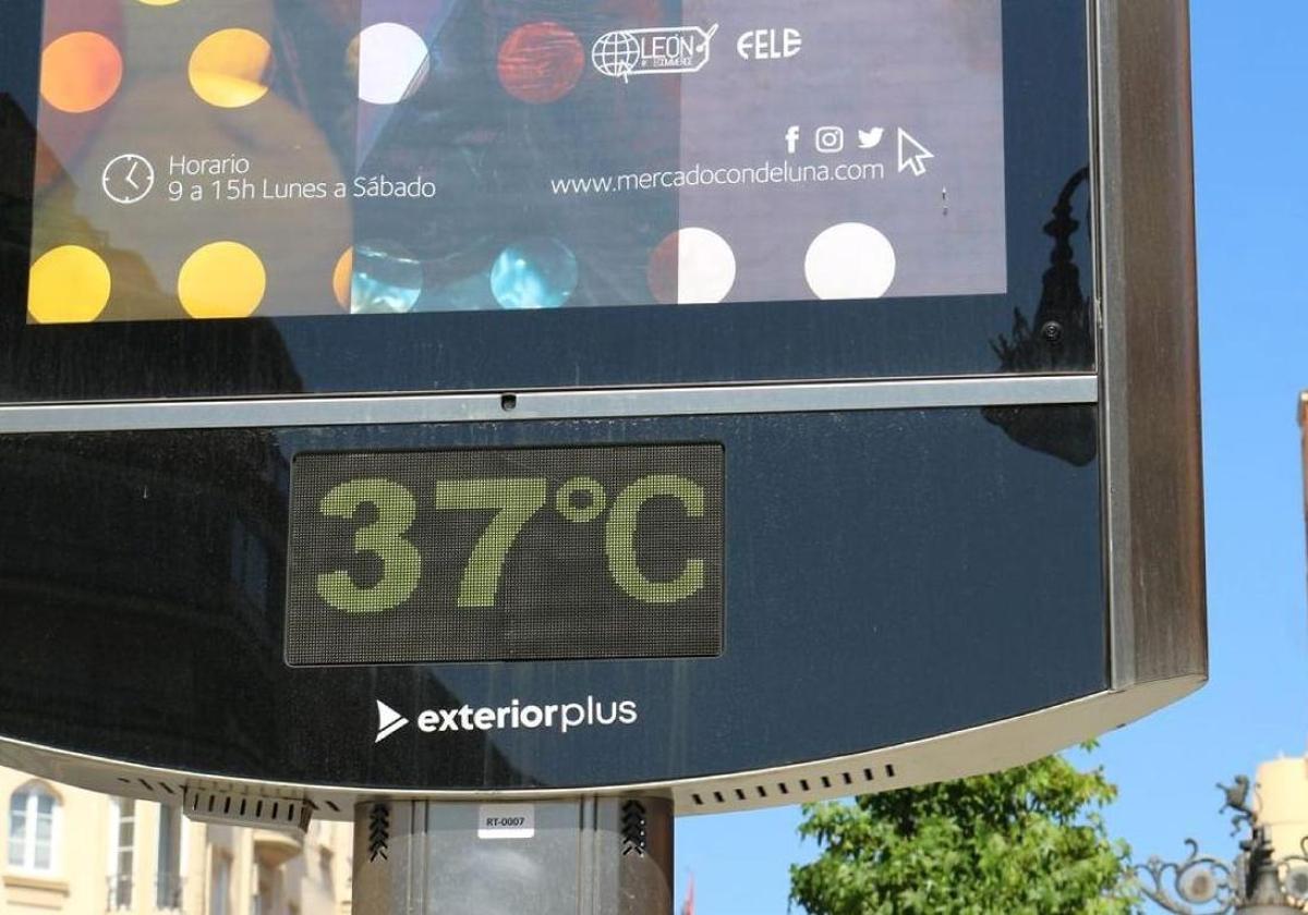 Altas temperaturas previas a la ola de calor en León