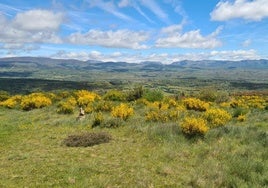 Una paraje leonés.