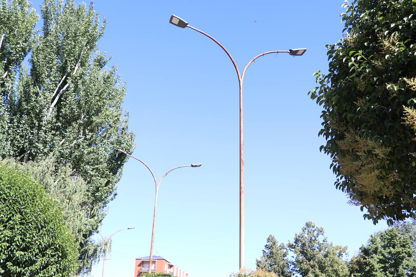 Las seis farolas de Lancia