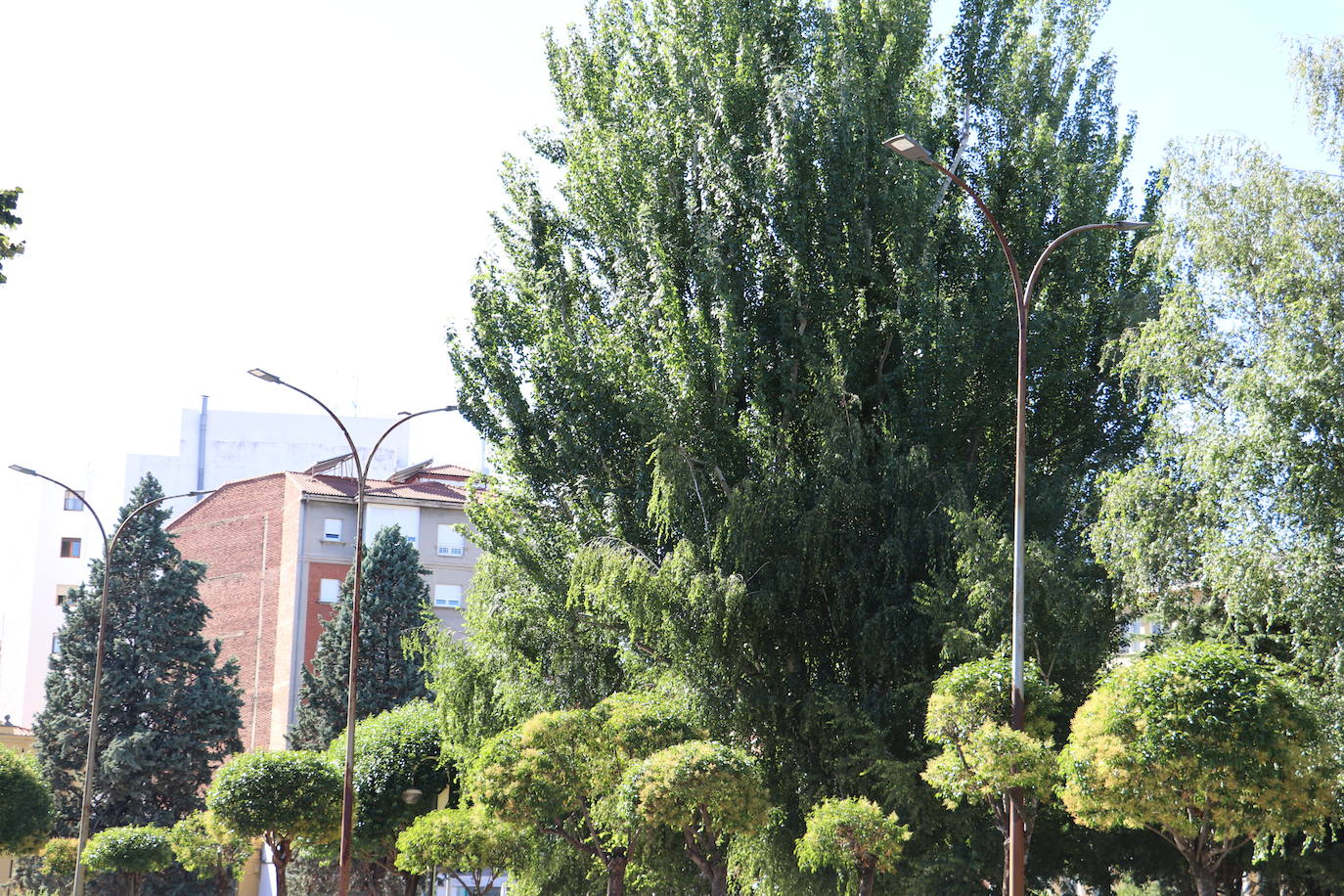 Las seis farolas de Lancia