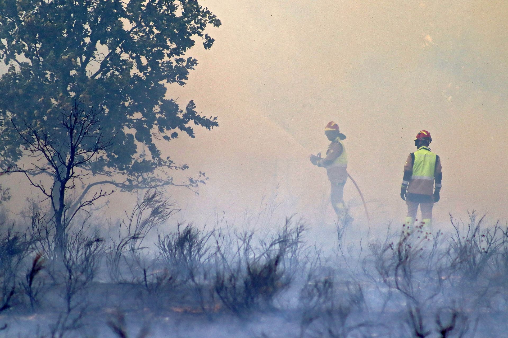 Incendio en Valverde de La Virgen