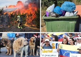 Las imágenes del día.