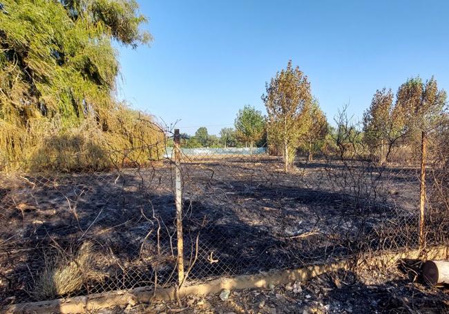 Restos del incendio sufrido en la localidad.