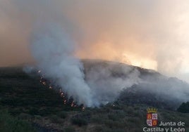 Imagen de uno de los focos del incendio.