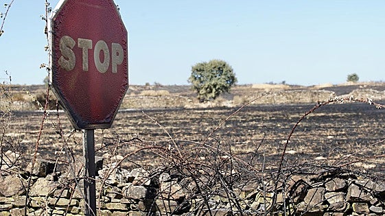 800 hectáreas en cuatro horas: el balance de un incendio con la mano del hombre detrás