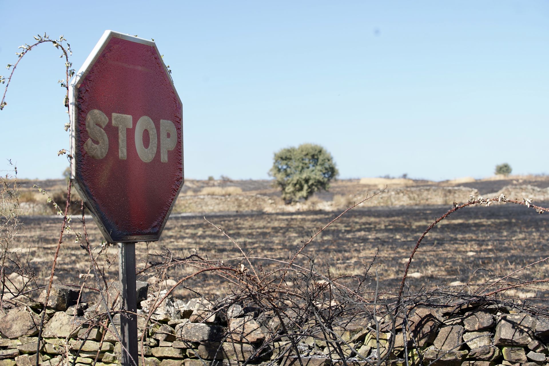 El incendio forestal de Castrillo de los Polvazares (León) baja a nivel 1