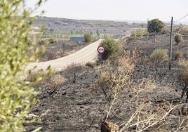 El incendio forestal de Castrillo de los Polvazares baja a nivel 1