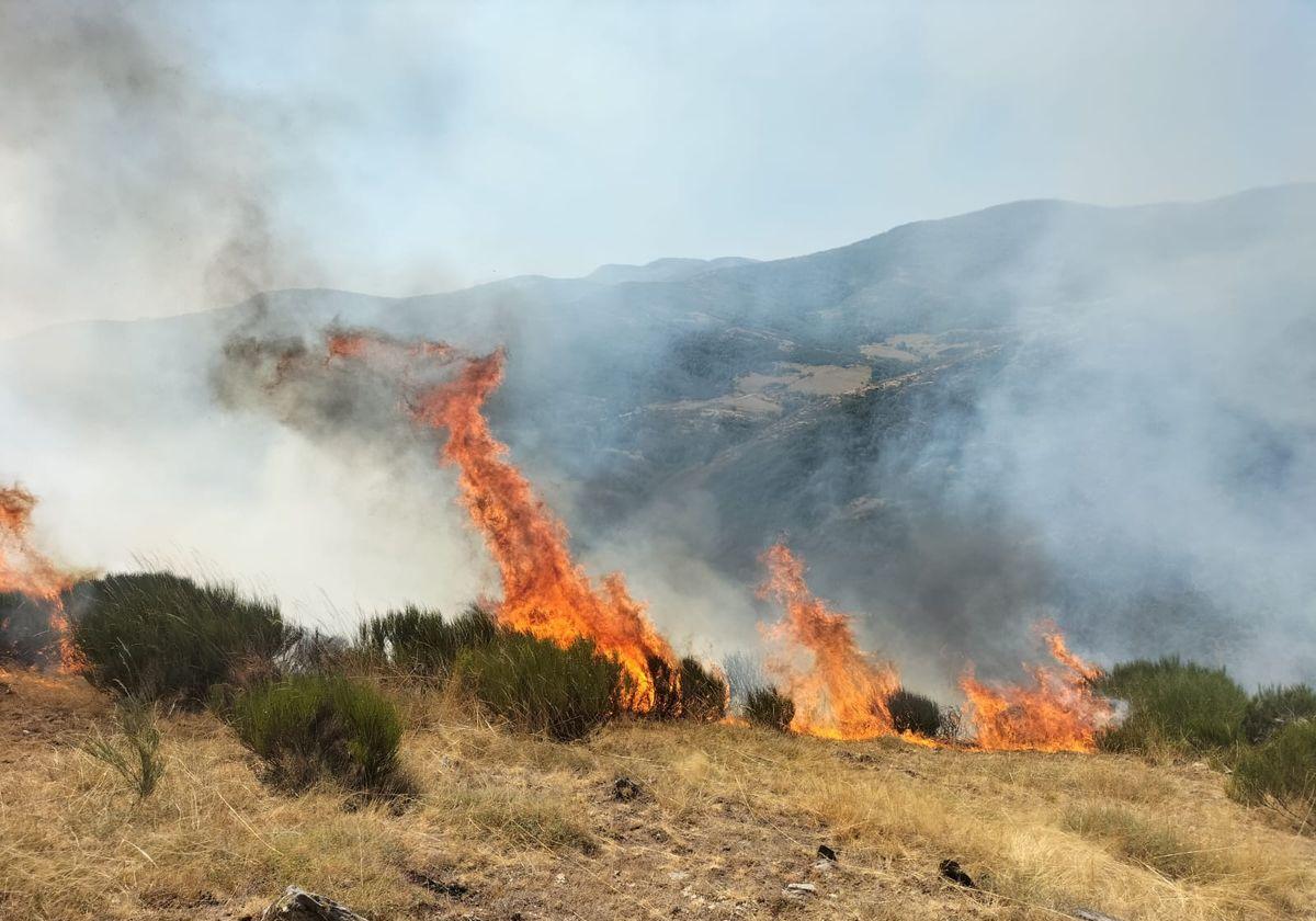 Imágenes de las llamas en el incendio de El Villar de Santiago.