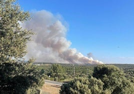 Así se veía desde lejos el incendio de Castrillo de los Polvazares.