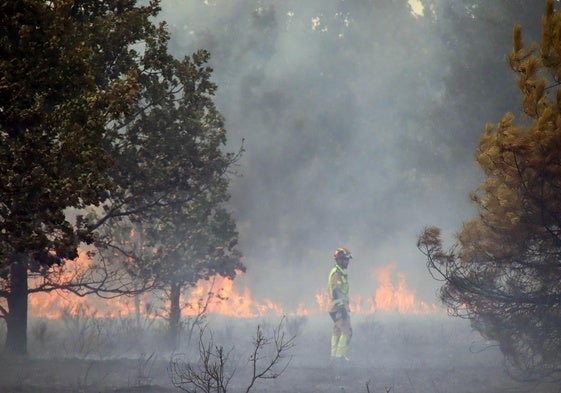 Un agente en las labores de extinción del incendio de Valverde de La Virgen.