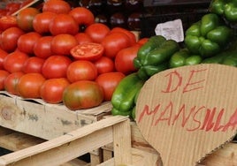 Puesto de tomates de Mansilla de las Mulas.