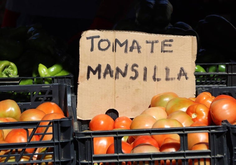 XXXV Feria del Tomate de Mansilla de las Mulas