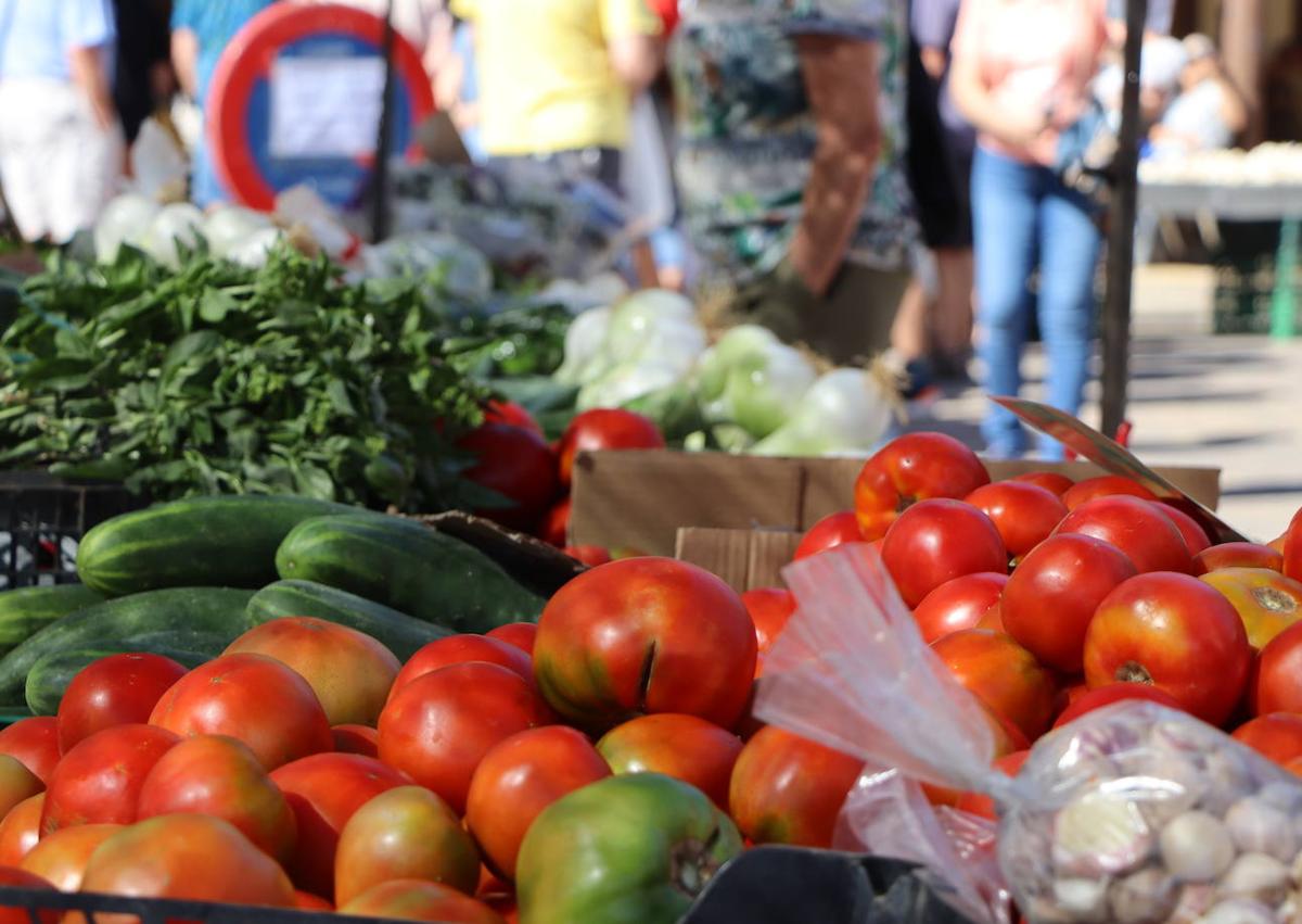 Imagen secundaria 1 - XXXV Feria del Tomate de Mansilla de las Mulas