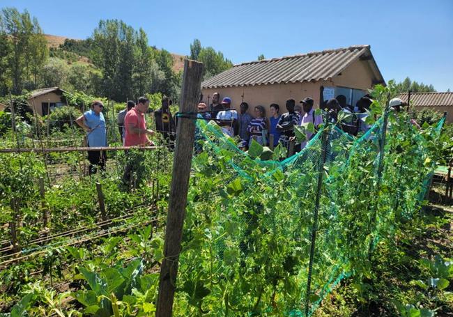 Alumnos durante las clases en los huertos de la Candamia este verano