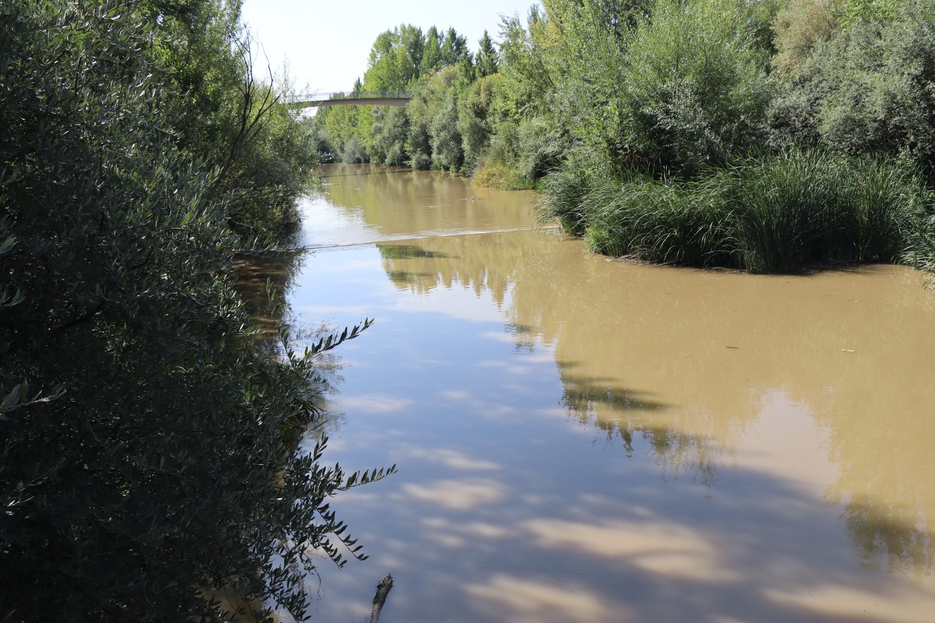 Lluvias llenan el río Bernesga y aumentan su caudal