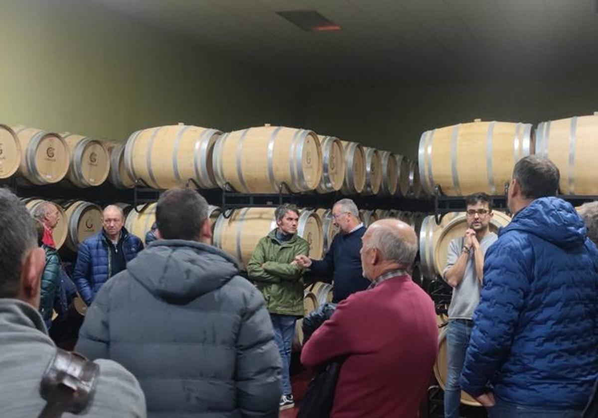 Naturgeis lanza un programa gratuito de formación en viticultura y enología