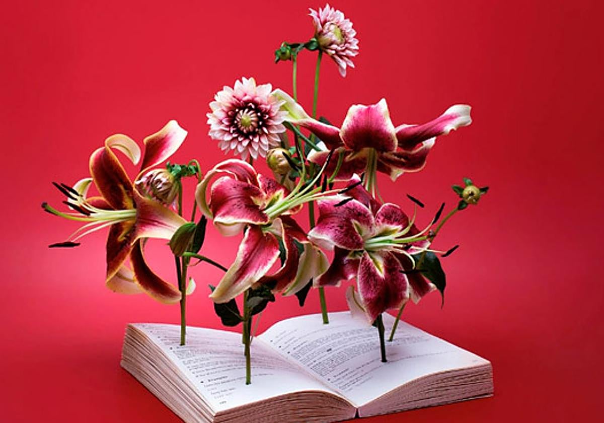 Imagen del cartel del festival.