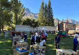 El buen tiempo fue un aliciente más para la Feria