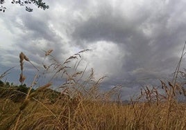 Temperaturas sin cambios y algunas lluvias