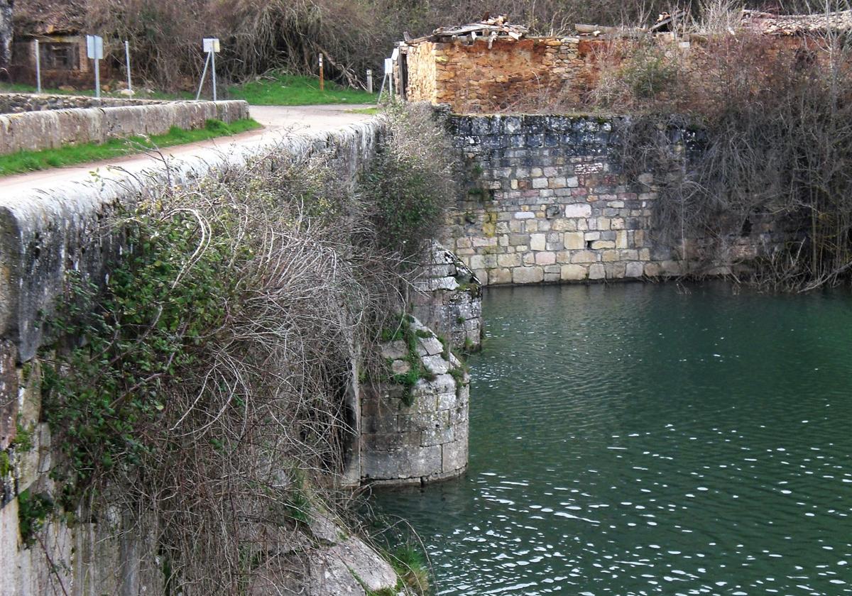 Estado en el que se encontraba el Puente de Mercadillo aguas arriba hace unos 13 años. Pretiles; pilastras y estribos invadidos por la vegetación.