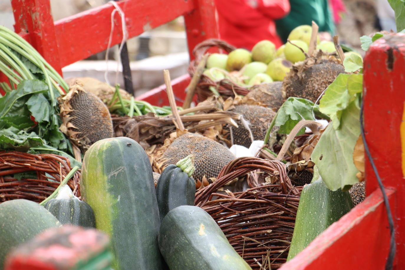 Las mejores imágenes de X edición de La Melonera