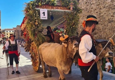 La Asociación de Carros Leoneses no participará en el tradicional desfile de engalanados