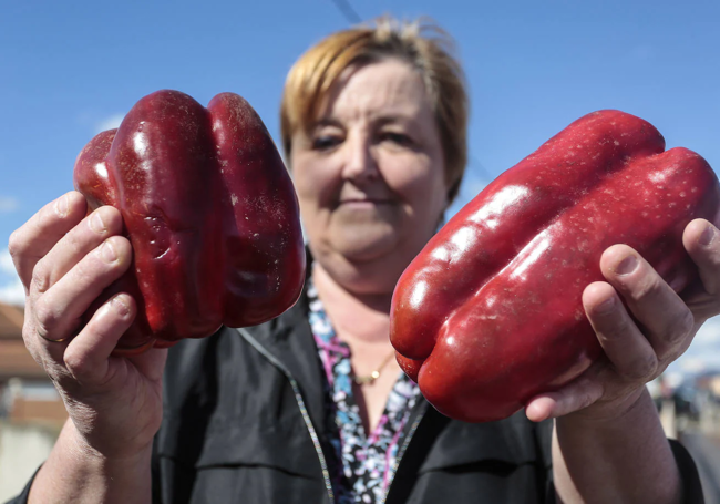 Feria del Pimiento de Fresno de la Vega