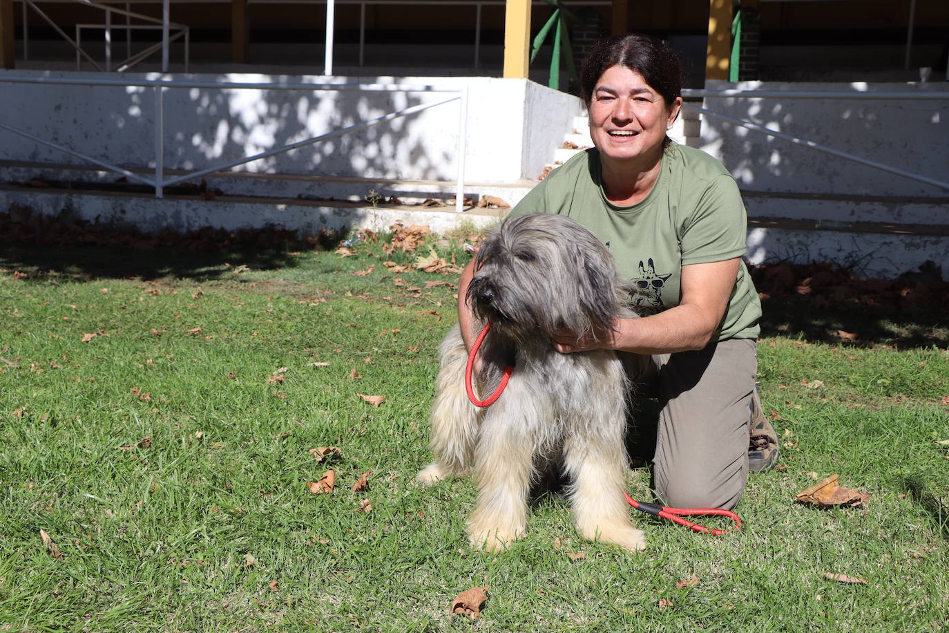 Las mejores imágenes de la XXXI Exposición Nacional Canina