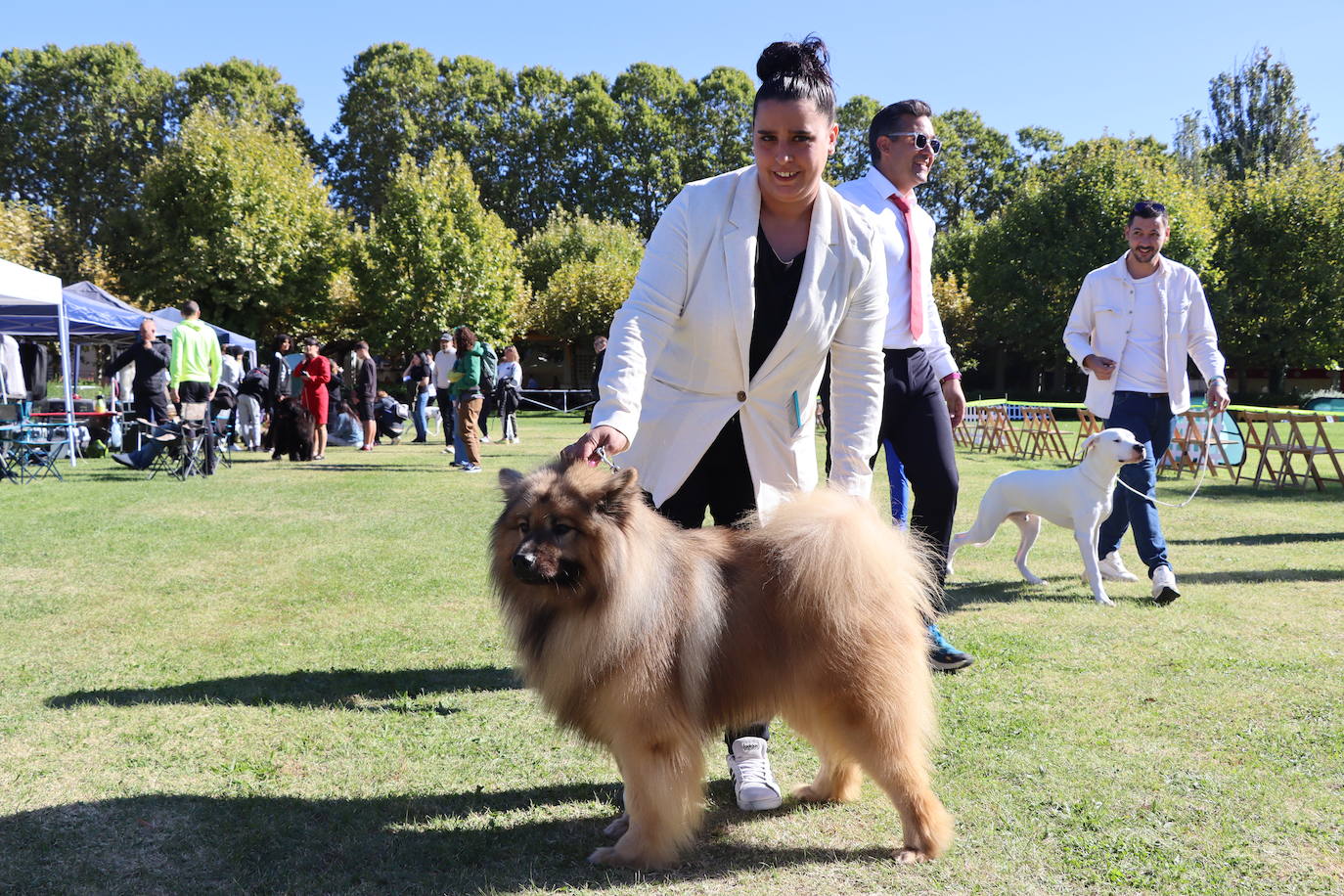 Las mejores imágenes de la XXXI Exposición Nacional Canina