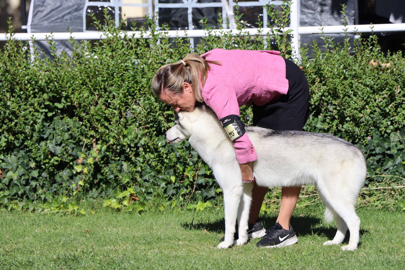 Las mejores imágenes de la XXXI Exposición Nacional Canina