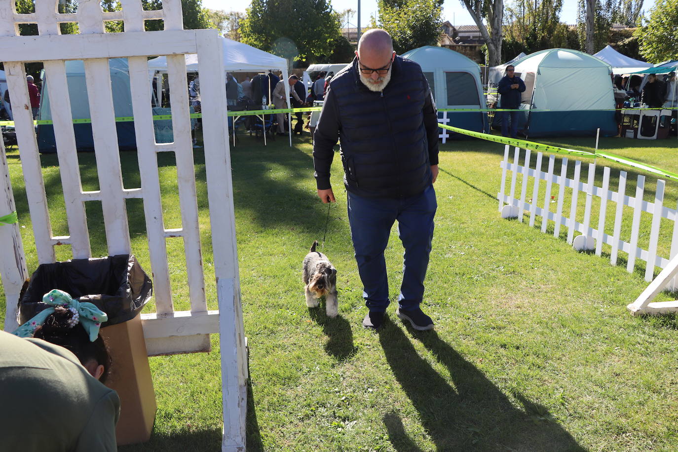 Las mejores imágenes de la XXXI Exposición Nacional Canina