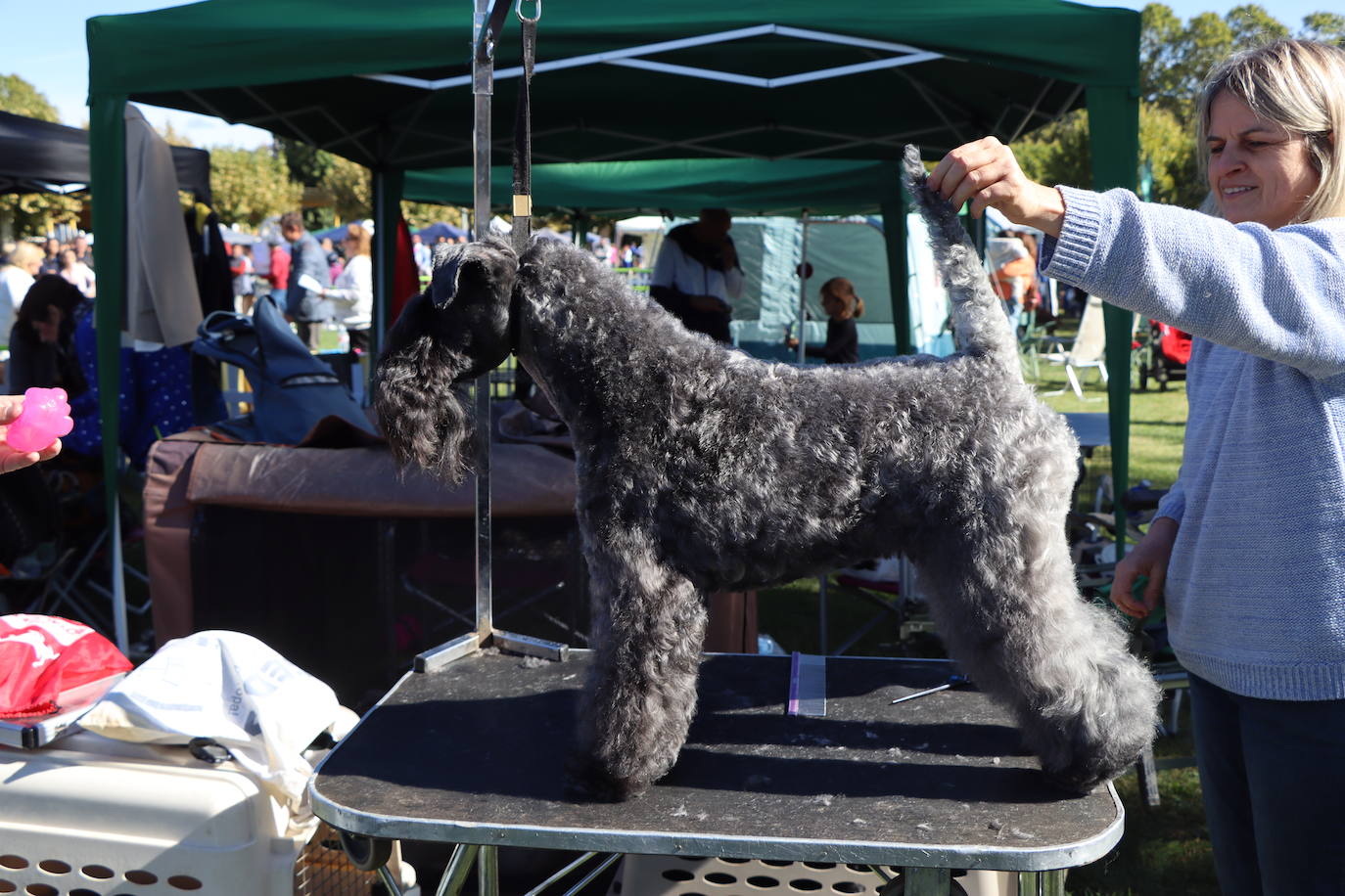 Las mejores imágenes de la XXXI Exposición Nacional Canina