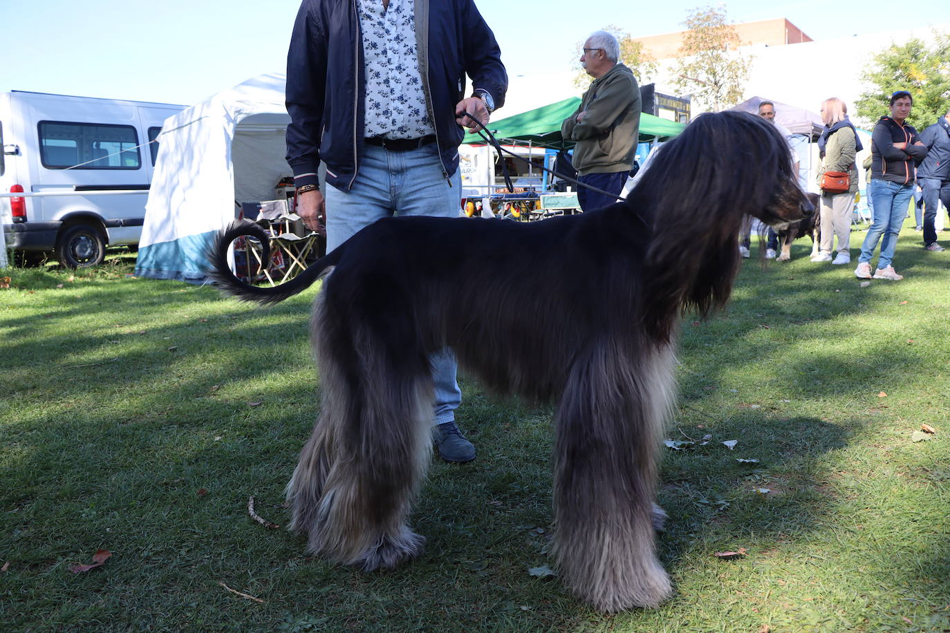 Las mejores imágenes de la XXXI Exposición Nacional Canina