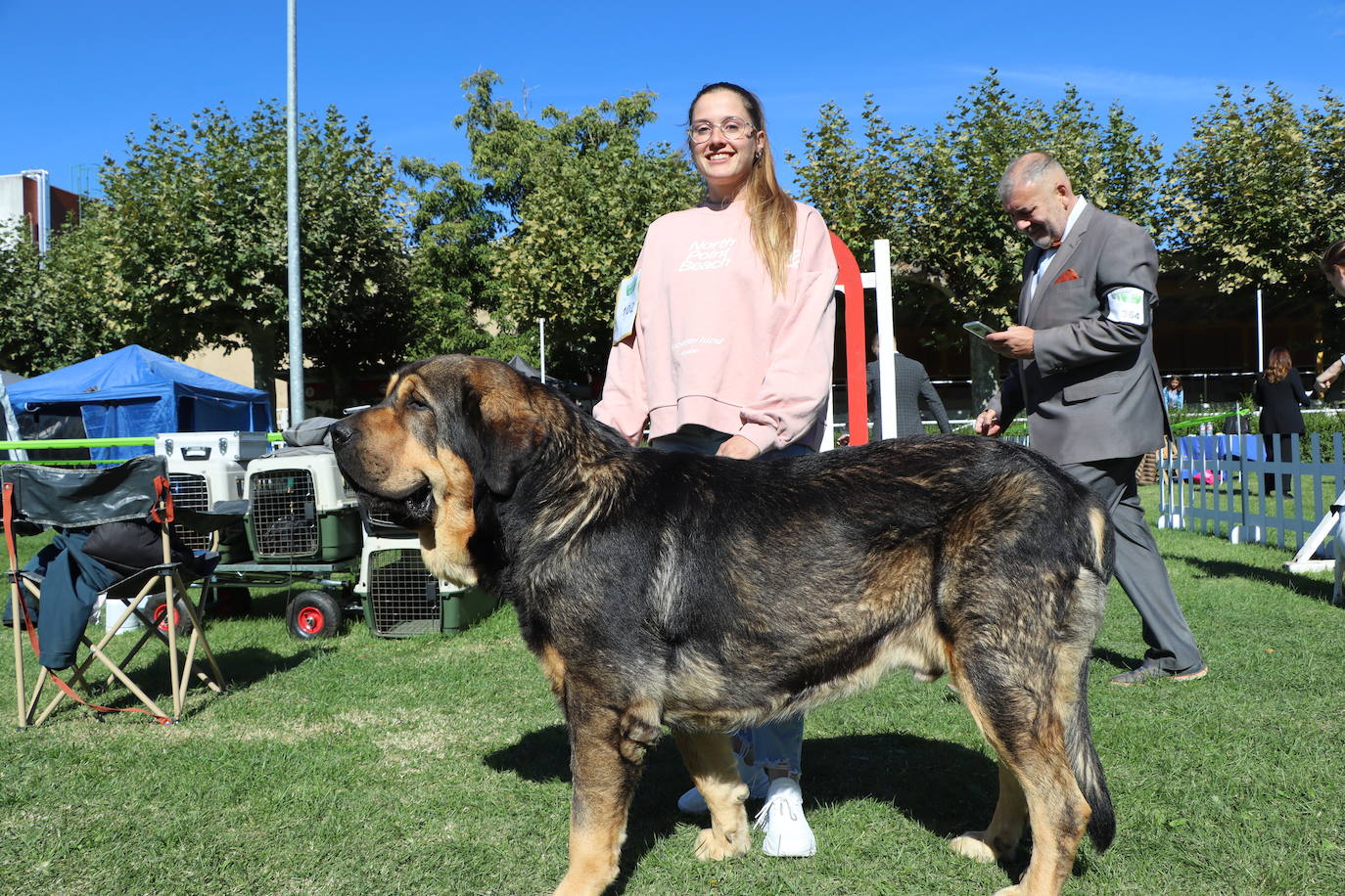 Las mejores imágenes de la XXXI Exposición Nacional Canina