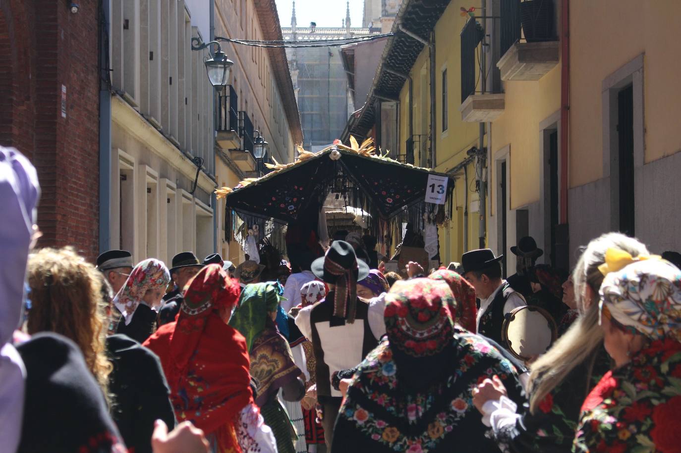 Todas las imágenes del desfile de carros engalanados