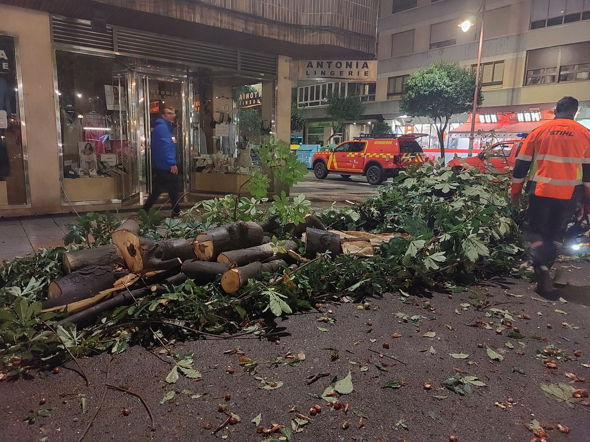 Cae una rama en el Come y Cale