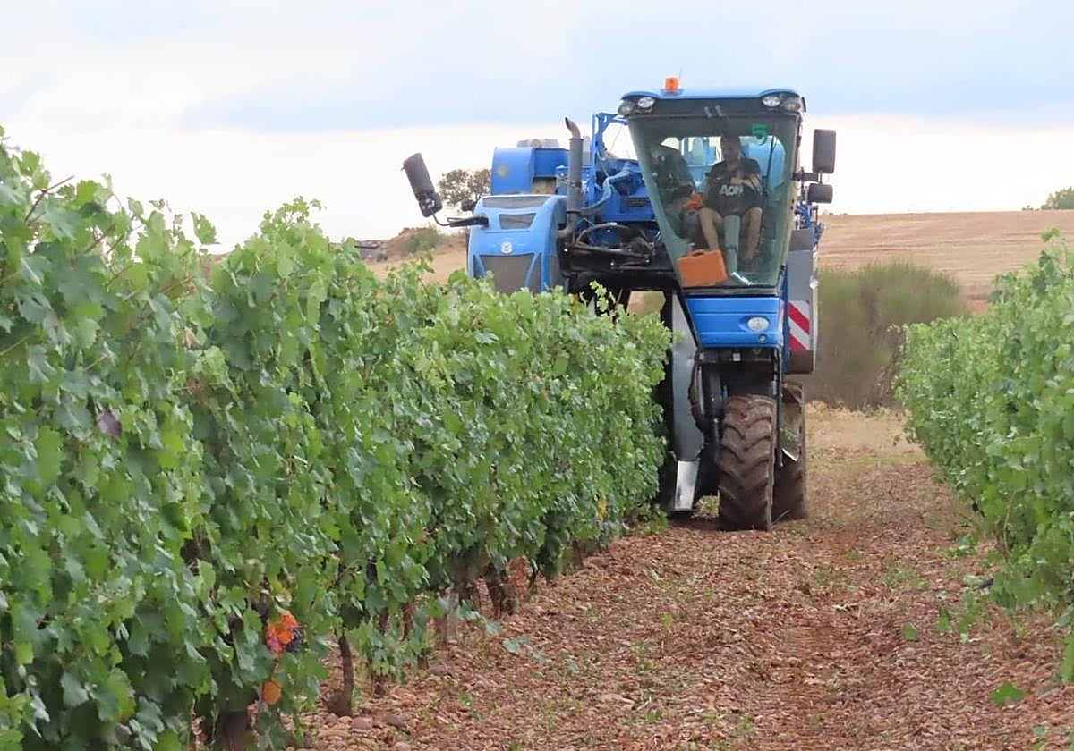 Asaja pide al Consejo Regulador de la DO León que «se abstenga de enfrentar a agricultores y ganaderos»