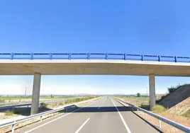 Viaducto sobre la A-60 en Reliegos.