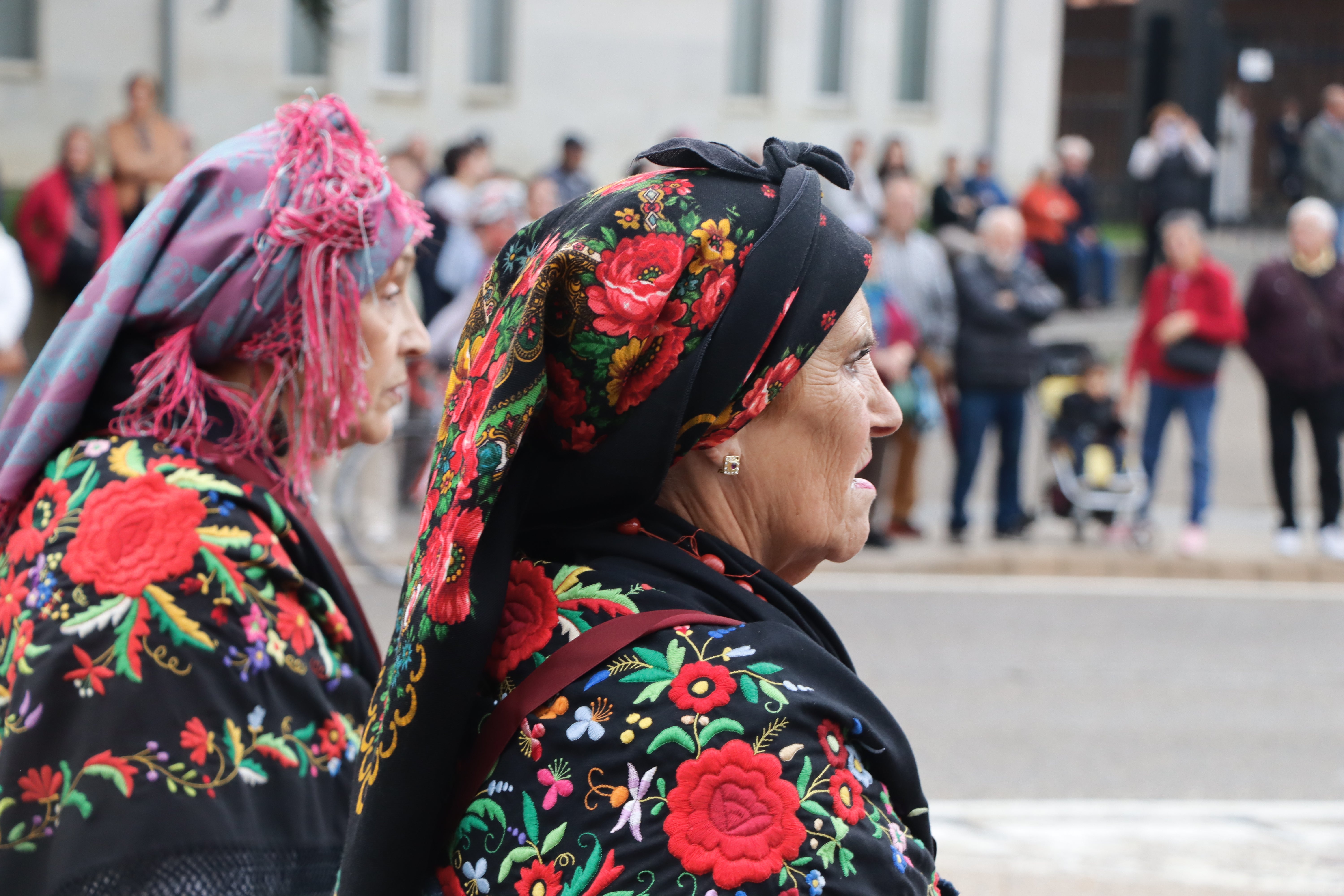 Desfile de pendones en la romería de San Froilán