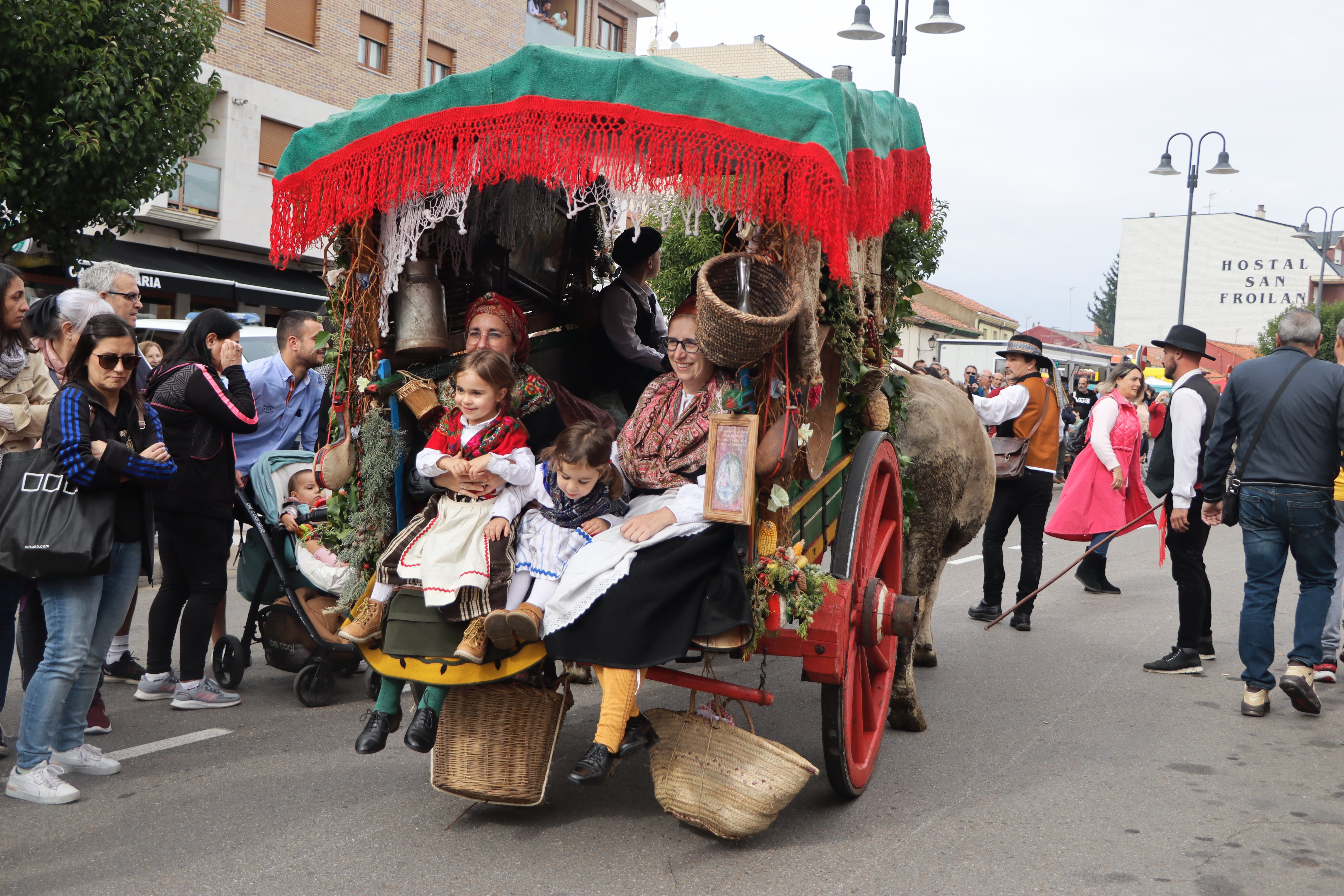 Los carros engalanados en la romería de San Froilán