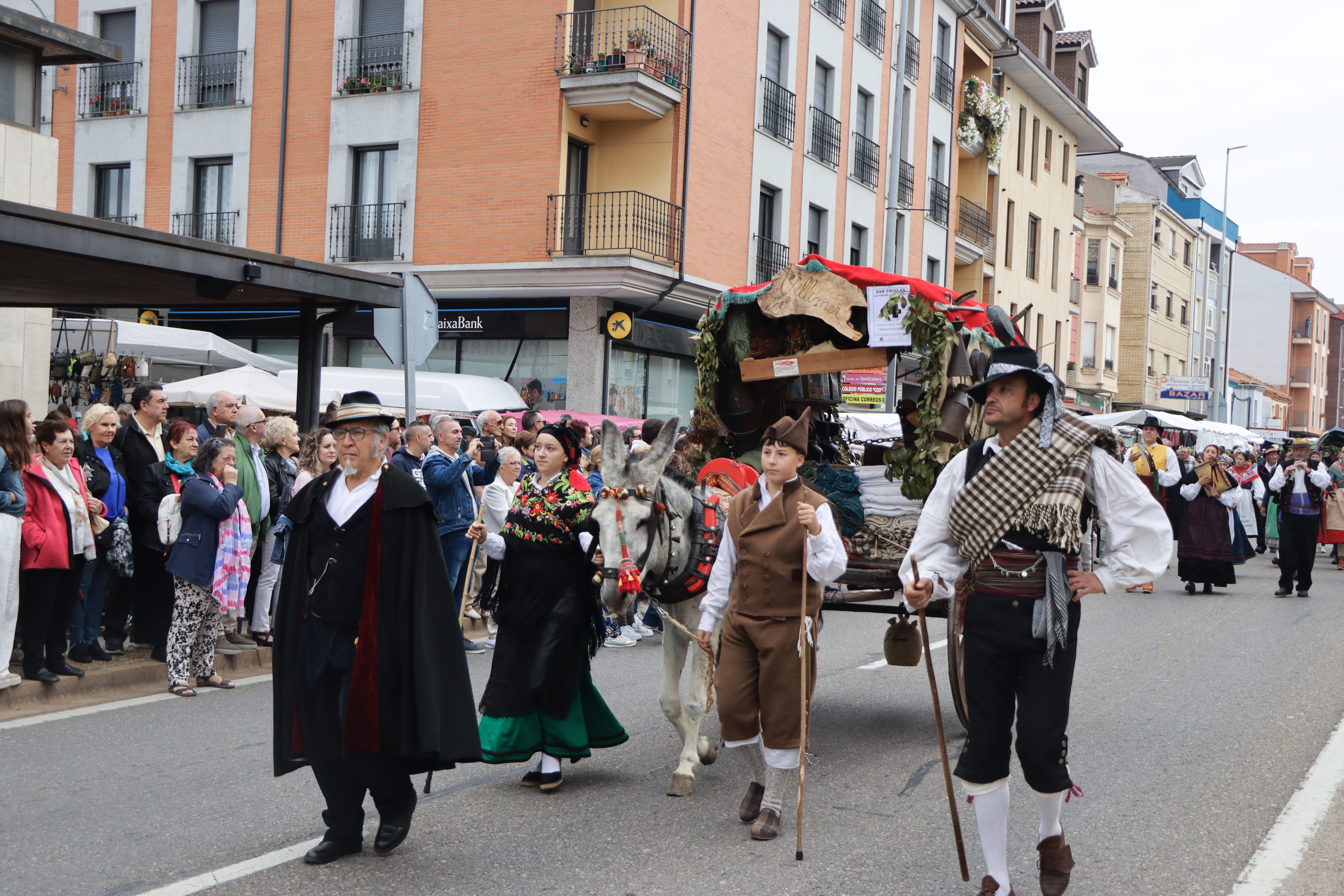 Los carros engalanados en la romería de San Froilán