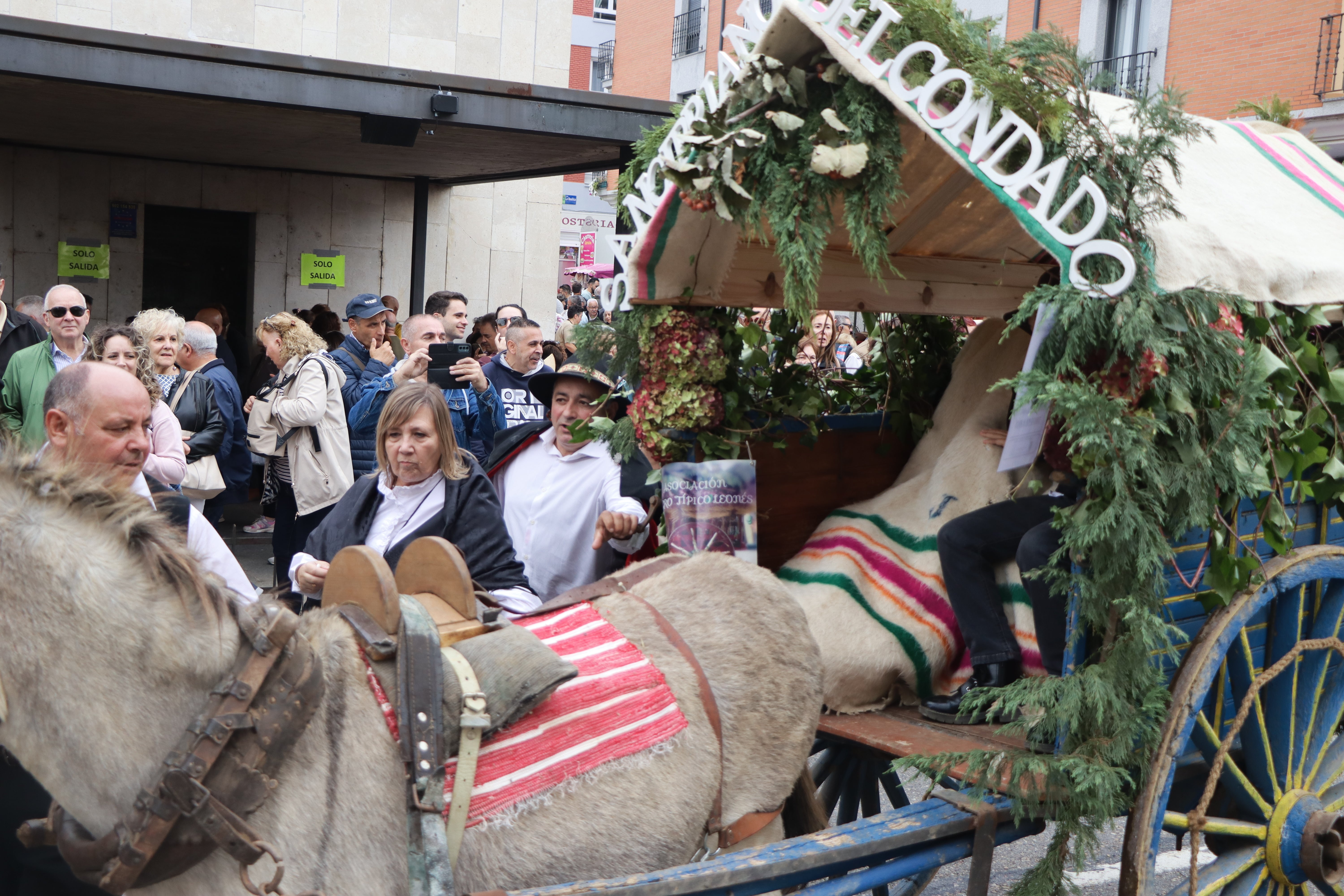 Los carros engalanados en la romería de San Froilán