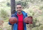 Boletus de más de un kilo en los montes de León