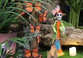 Mariposas monarca para el altar de muertos del Museo de la Emigración Leonesa.