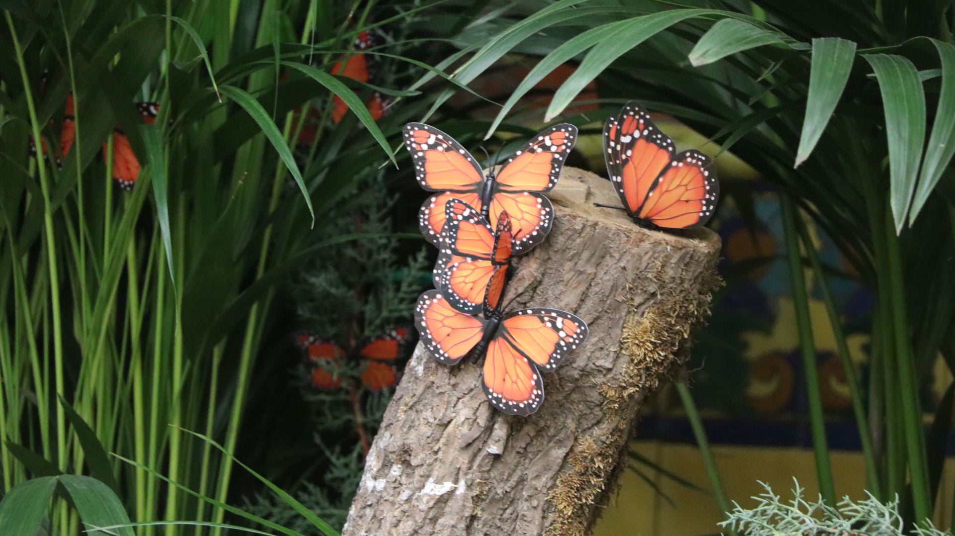 Mariposas para el altar de muertos del MEL