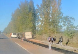 Camión volcado en el arcén de la N-120.