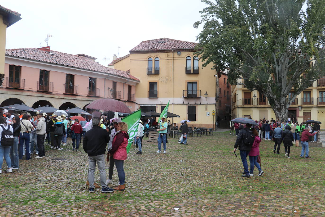 Las mejores imágenes del desfile de peñas de León