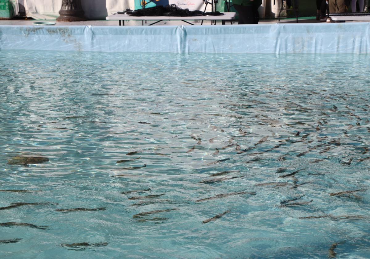 Una de las piscinas instaladas en la Plaza Mayor de León.